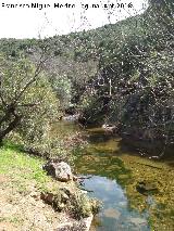 Arroyo de Martn Prez. 