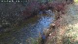 Arroyo de Martn Prez. 
