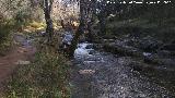 Arroyo de Martn Prez. 