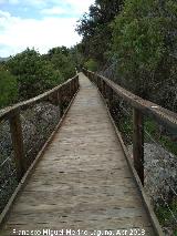 Sendero del Enebral. 