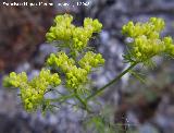 Ruda de montaa - Ruta montana. Segura