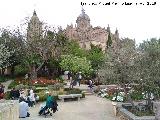 Catedrales de Salamanca. Desde el Huerto de Calixto y Melibea