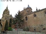 Catedrales de Salamanca. 