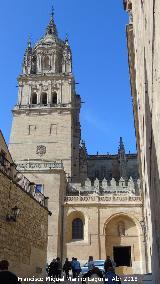 Catedral Vieja. Puerta de Santa Luca. 