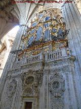 Catedral Nueva. rgano del Evangelio. 