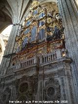 Catedral Nueva. rgano del Evangelio. 