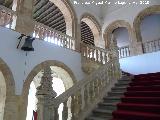 Colegio del Arzobispo Fonseca. Escalera