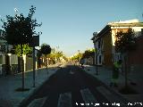 Calle Pintor Rodrguez de la Torre. 