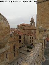 Catedral Vieja. Torre Mocha. Vistas