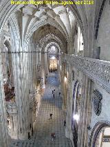 Catedral Nueva. Triforio. 