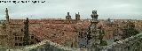 Catedral Nueva. Terraza de Anaya. Vistas