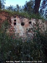 Cortijo de Martn Lechuga. Palomar