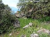 Cantera de la Pea de los Gitanos. 