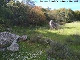 Pea de los Gitanos. Piedra hincada