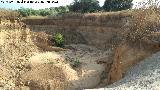 Arroyo de los Llanos de la Matanza. 