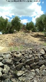 Caracol del Cerro Romano. 