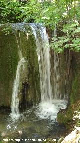 Cascada de Toba del Cerezuelo. 