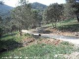 Ruta de senderismo a la Caada de las Azadillas - Cruz de la Chimba. 