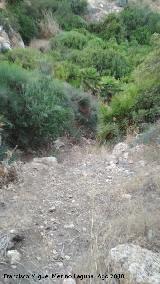 Barranco de la Cueva de las Flores. 