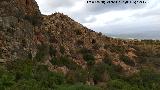 Cueva de las Flores. 