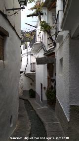 Calle Vernica. 