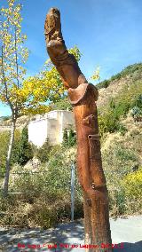 Tronco del Bho. 