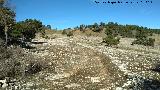 Camino de la Nava del Espino. Ya en el Puerto de Guadahornillos