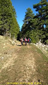 Camino de la Cueva de los Alcaetes. 