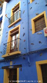 Casa de las Salamandras. Fachada
