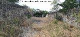 Estaci�n del Cable del Centenillo. 