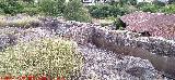 Estaci�n del Cable del Centenillo. 
