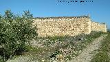 Cortijo de San Pedro. Muros de piedra