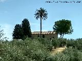 Cortijo Almoraide. 