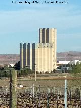 Silo de Cariena. 