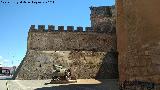 Castillo de los Guzmanes. Torre Noroeste de la Barbacana. Can