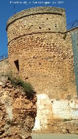 Castillo de los Guzmanes. Torre Circular Sur. 