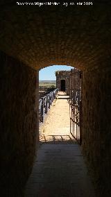 Castillo de los Guzmanes. Torre Sureste. Desde la Torre Cuadrangular Sur