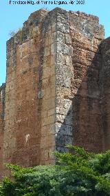 Muralla de Niebla. Torre Norte VI. 