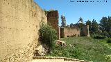 Muralla de Niebla. Torre Sur XV. Situacin