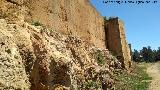 Muralla de Niebla. Torre Sur XIV. Lienzo de muralla