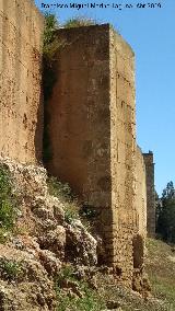 Muralla de Niebla. Torre Sur XIV. 