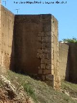 Muralla de Niebla. Torre Sur XI. 