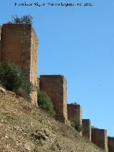 Muralla de Niebla. Torre Sur IX. Situacin