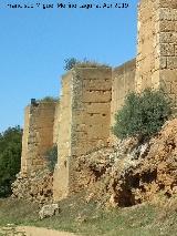 Muralla de Niebla. Torre Sur VIII. Situacin