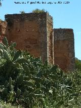 Muralla de Niebla. Torre Sur IV. 