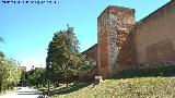 Muralla de Niebla. Torre Norte I. 