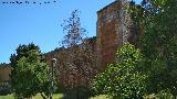 Muralla de Niebla. Torre Norte III. 