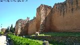 Ronda de Jerusaln. 