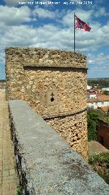 Castillo de los Guzmanes. Torre Circular Este. 