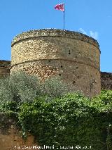 Castillo de los Guzmanes. Torre Circular Este. 